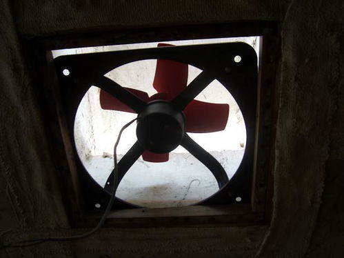 从地养到网养 转型指南与鸡舍建设、设备选型全解析