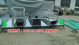 高效养殖必备 渭南母猪分娩栏尺寸详解与厂家直销设备选购指南