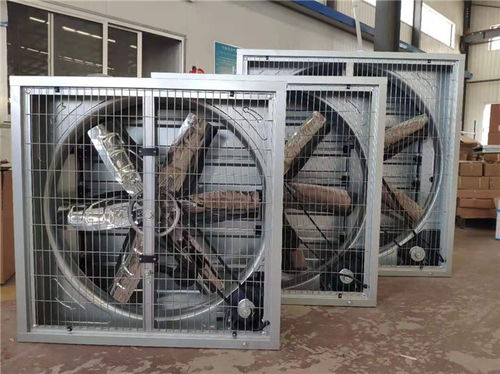 智能通风，增效养殖 畜牧养殖设备中的关键角色——负压风机